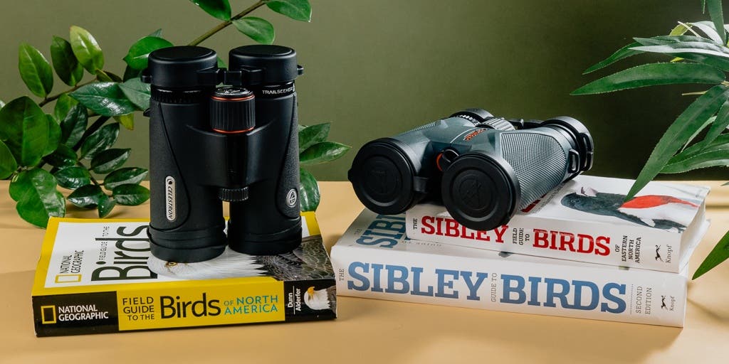 Best Binoculars for Bird Watching