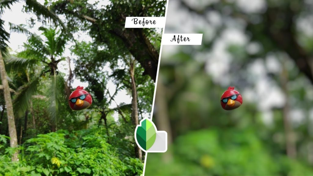 How to Blur Background in Snapseed